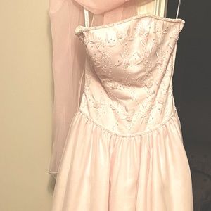 Alfred Angelo Pink Gown Dress (Prom, Quinciniera, Gala)